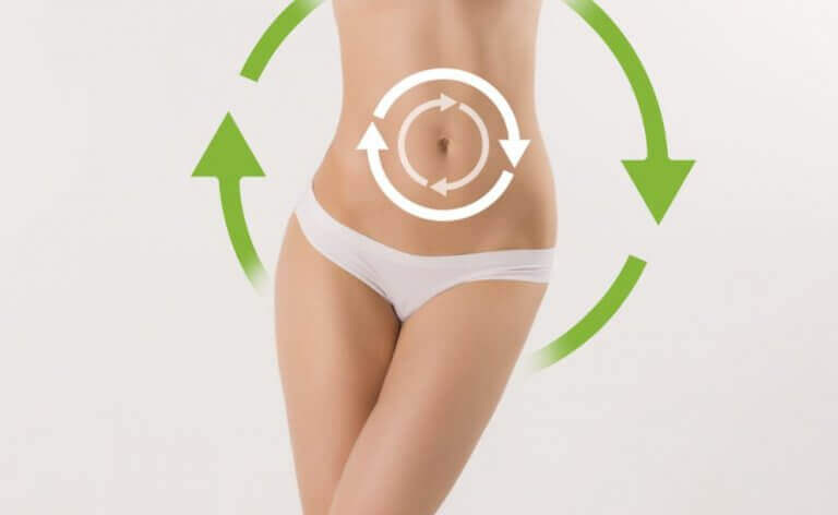 snellere stofwisseling om sneller af te vallen