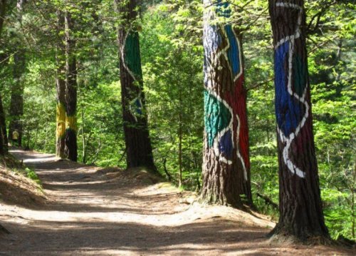 beschilderde boomstammen in Spanje
