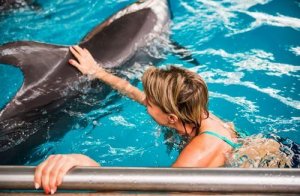 Kan je leren zwemmen als volwassene?