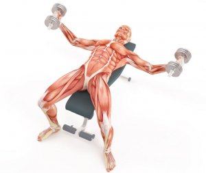 Bankdrukken met gewichten