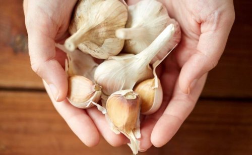 Quercetine en knoflook