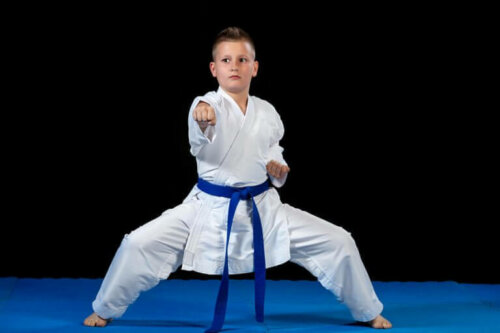 Karate is geen Olympische sport